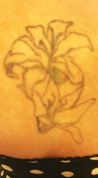 Outline of a Lily flower, second tattoo, shoulder blades.