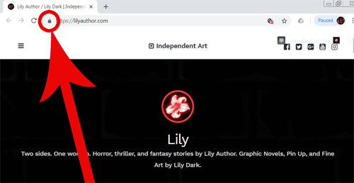 2018 Internet Lily Author secure example