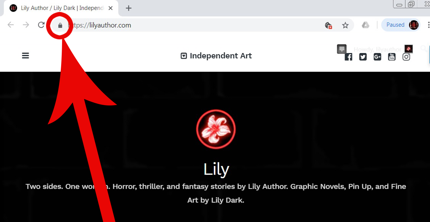 Internet 2018 Lily Author