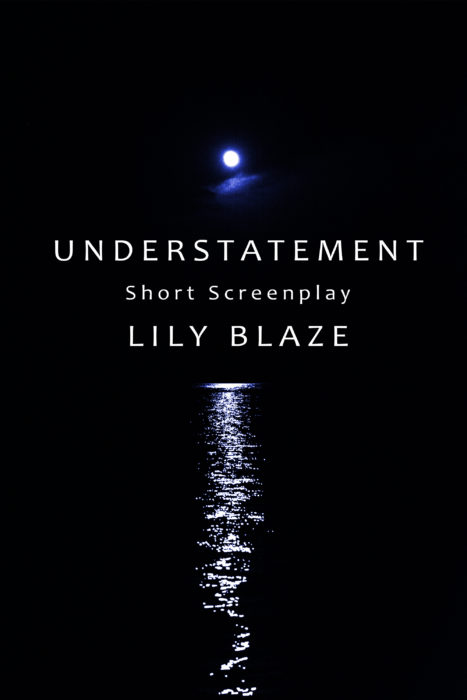 Understatement poster Lily Blaze scaled